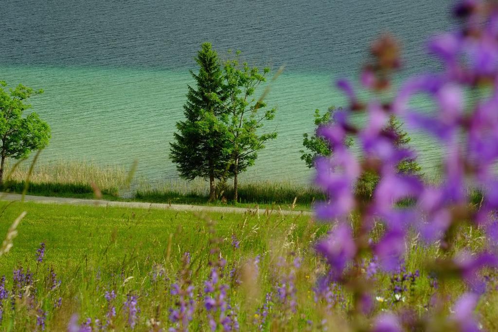 Draxl-Hof Ferienwohnungen Weissensee Dış mekan fotoğraf